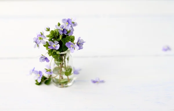 Pretty vase of forget me nots — Stock Photo, Image