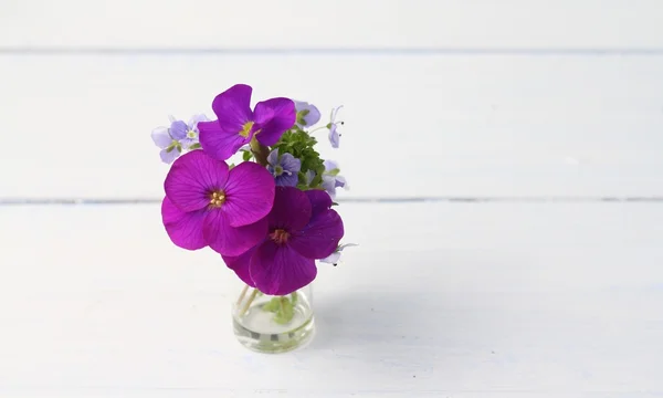 Vial of aubrieta and forget me nots — Stock Photo, Image