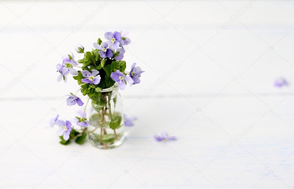 Pretty vase of forget me nots