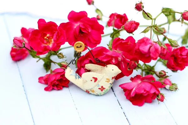 Bird in Roses — Stock Photo, Image