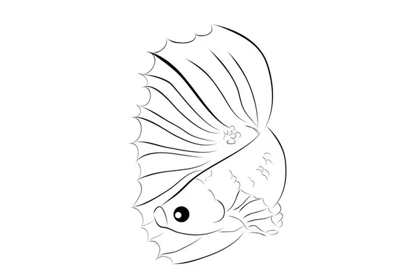 외투선 Vector Betta Siamese Fighting Fish Whitebackground — 스톡 벡터