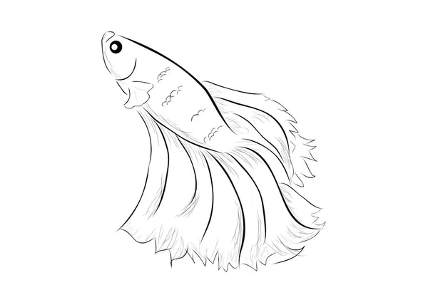 Simple Outline Vector Betta Oder Siamesischer Kampffisch Riesenhalbmond Auf Weißem — Stockvektor