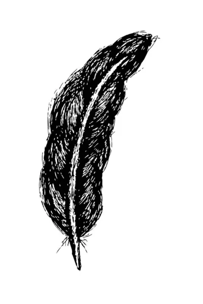 Boceto Dibujo Mano Vector Simple Pluma Negra — Vector de stock