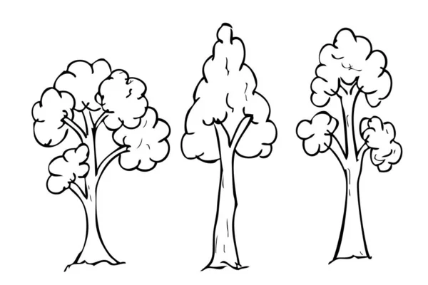 简单矢量手绘素描 设置2棵高大的树和草 — 图库矢量图片