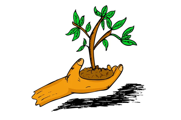 Doodle mão com planta pequena —  Vetores de Stock