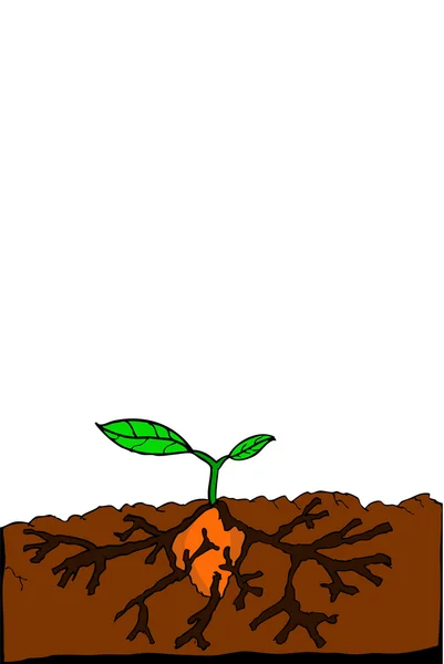 Doodle pequena planta e raiz grande — Fotografia de Stock