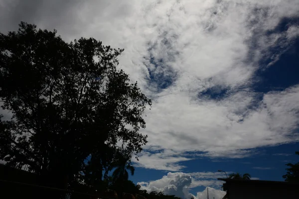 Grandes nubes en el cielo y árboles — Foto de Stock