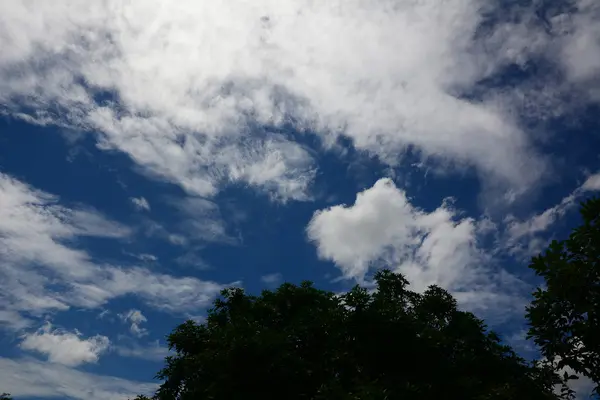 Большие облака на небе и деревья — стоковое фото