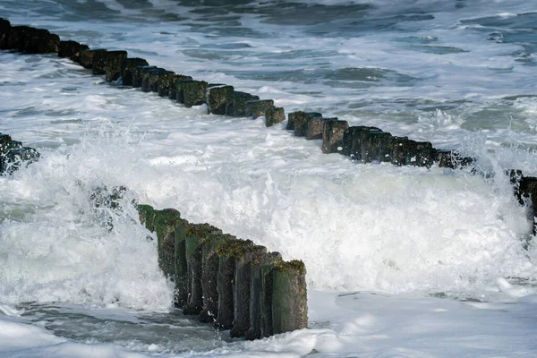 Kuzey Denizi kıyısındaki Westkapelle, Zeeland, Hollanda 'da çift sıra ahşap dalgalar kırılıyor..