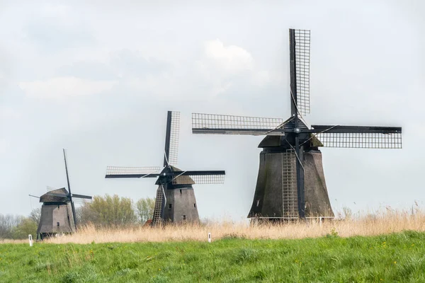 ノルトシェルマーディクの3つの風車 Oterleek Rustenburg 前面に戻る Strjkmolen Strijkmolen Strijkmolen 泥炭地の風車とSchermer Beemster地域の埋め立て地 ストリクモレン — ストック写真