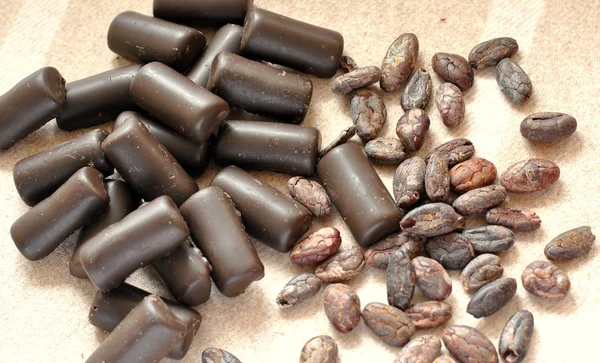 Chocolat şeker ve kakao çekirdekleri