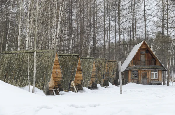 Former tourist camp in the countryside with a wooden dwelling — Stock Photo, Image