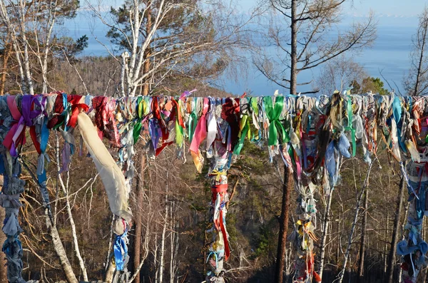 Albero sciamanico con strisce strette di materia colorata, Listvyanka, Lago Baikal — Foto Stock