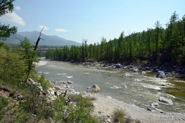 Río Irkut en sus inicios en las montañas Sayan — Foto de Stock