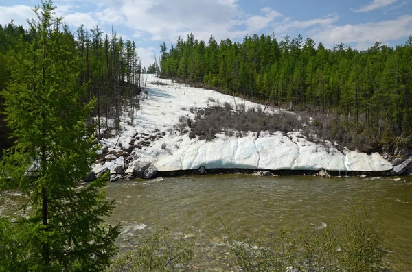 Gleccser a parton Irkut folyó a Szaján hegyekben kezdetét június — Stock Fotó