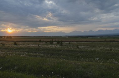 Gün batımında yaz çayır. Tunkinskaya Vadisi, Buryatia