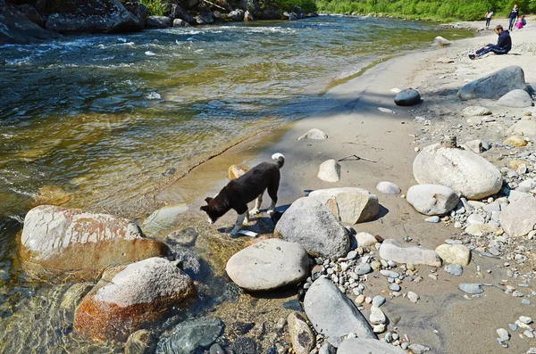 Ikhe-Uhgun rivier in de spurs van East Sajan — Stockfoto