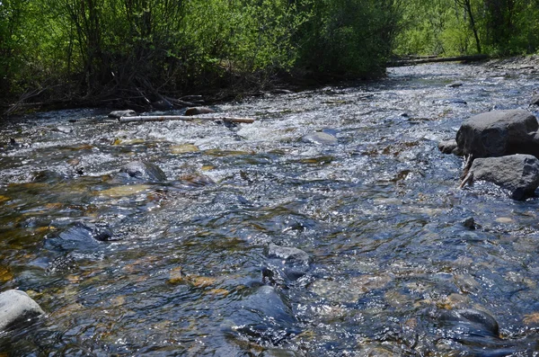 Kleine mountine rivier in de spurs van East Sajan — Stockfoto