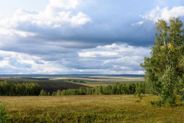 Gök gürültülü bulutlar altında yağmur öncesi tarımsal alanların çok renkli arsaları. Rus manzarası