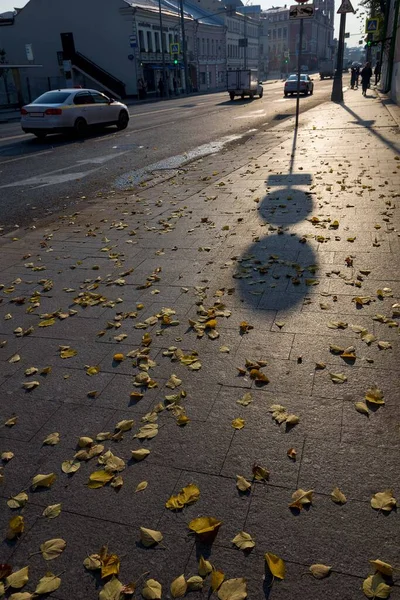 Sombra de señal de tráfico se encuentra en la acera esparcida con follaje amarillo —  Fotos de Stock