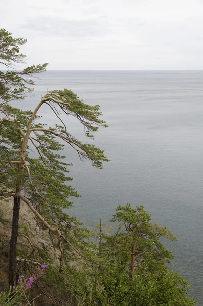 Baikal bei bewölktem Wetter. stiel — Stockfoto