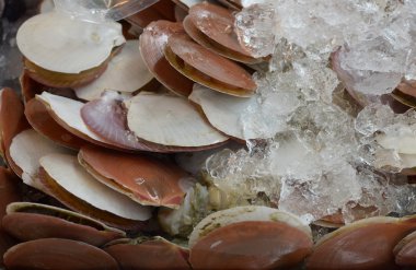 Taze istiridye üstünde belgili tanımlık sayaç. Balık Pazarı Phuket. Tayland