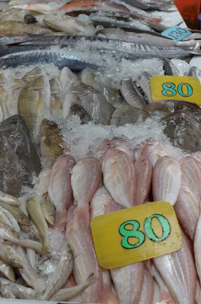 Peixe fresco gelado no balcão. Mercado de peixe. Phuket, Tailândia — Fotografia de Stock