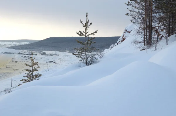 Paisaje invernal al atardecer — Foto de Stock