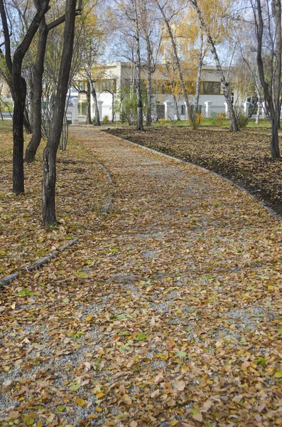 Wandeling lane, bezaaid met bladeren — Stockfoto