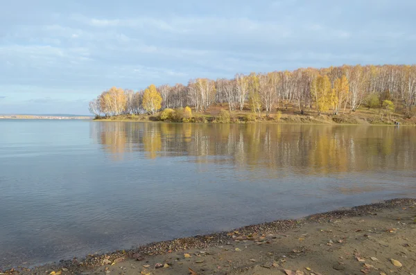 Paisaje soleado de otoño. Bosque de abedul en la costa de la bahía —  Fotos de Stock