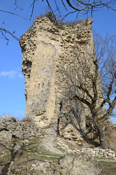Ujarma kale, kule III. yüzyıl M.ö. Gürcistan — Stok fotoğraf