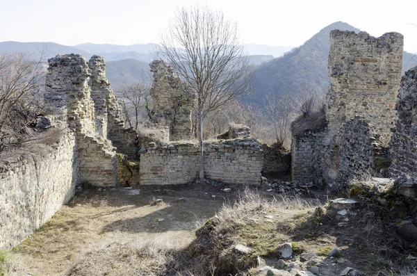 Ujarma kalesi kalıntıları III. yüzyıl M.ö. Gürcistan — Stok fotoğraf