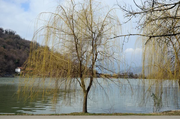 Lopota Lake in begin maart. Kakheti, Georgia — Stockfoto