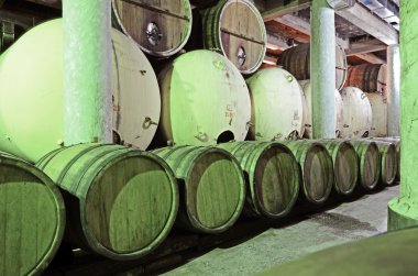 Kvareli, Georgia-Mart, 3 2015: şarap workshop tarafından Kvareli, Gürcistan'daki Avrupa Teknoloji