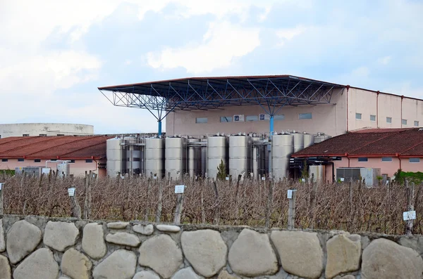 : Kakheti, Georgia-Mart, 3 2015: Kinzmarauli Winery - üretim Dükkanı, tanklar ve bağ. Gürcistan — Stok fotoğraf