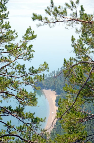 Sukhaya-드라이 베이, 나무를 통해 최고의 볼 수 있습니다. 바이칼 호수 — 스톡 사진