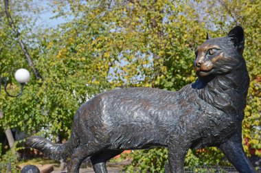 Irkutsk, Rusya Federasyonu - Ekim 10,2015: kedi heykel Irkutsk Caddesi üzerinde. Rusya