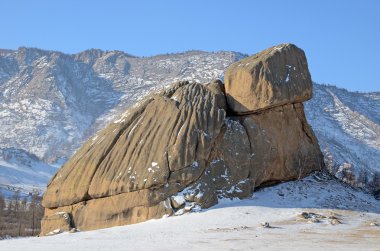 Taş kaplumbağa Terelj Park, Moğolistan