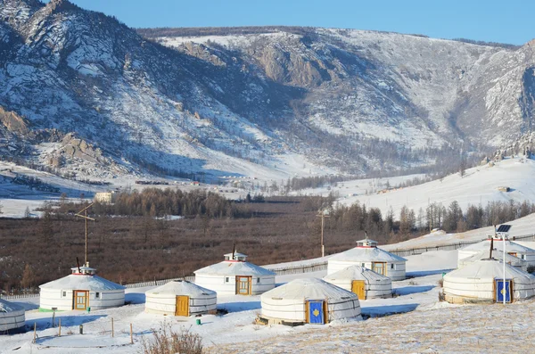 Yourt camp in the nature reserve Terelj, Mongolia — Stock Photo, Image