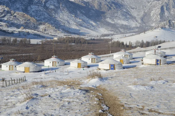 Yourt obóz w terelj rezerwat przyrody, mongolia — Zdjęcie stockowe