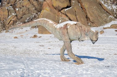 Dinozor Vadisi Terelj Milli Parkı'nda. Moğolistan