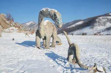 Dinozor Vadisi Terelj Milli Parkı'nda. Moğolistan