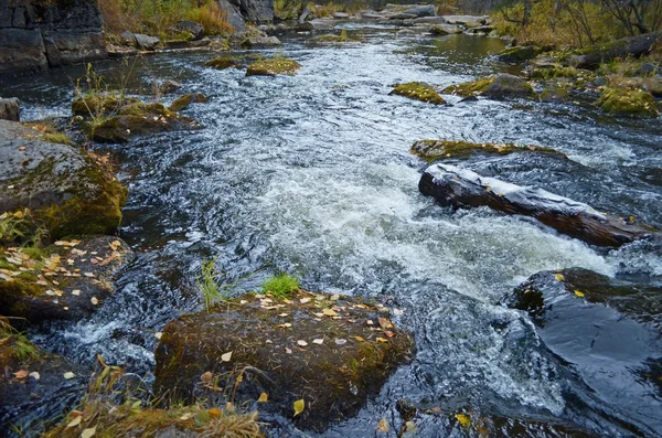 Little seething mountain river with moss stones — Stock Photo, Image