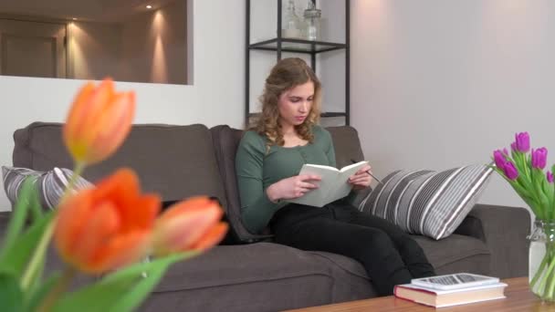 Κορίτσι φοιτητής νεαρή γυναίκα μελετώντας την εργασία με υπολογιστή Pc βιβλίο — Αρχείο Βίντεο