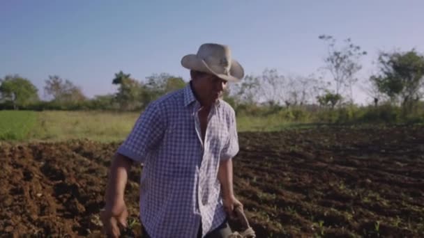 6-Hombre con Sombrero de Agricultura y Arado de la Tierra con Buey — Vídeos de Stock