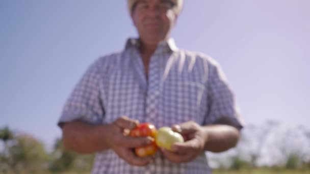 14-Retrato homem agricultor sorrindo e mostrando tomates para câmera — Vídeo de Stock