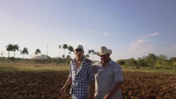 27-Agricultor e filho caminhando no campo semeado Cultivos de planejamento de conversação — Vídeo de Stock