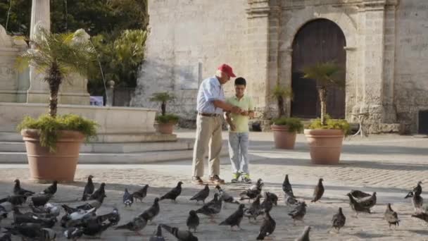 1-Дедушка и внук кормят голубей хлебом на каникулах — стоковое видео