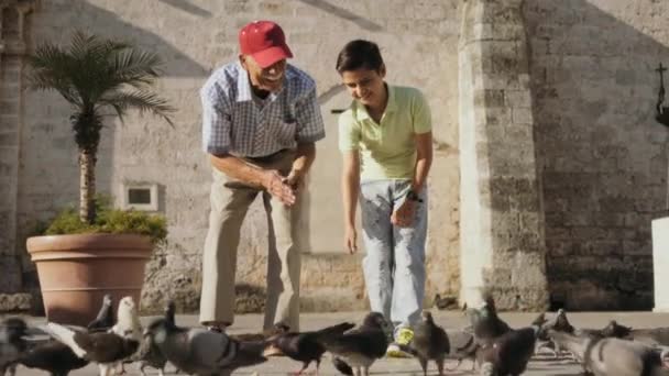 3-Großeltern und Enkel füttern Tauben im Urlaub mit Brot — Stockvideo