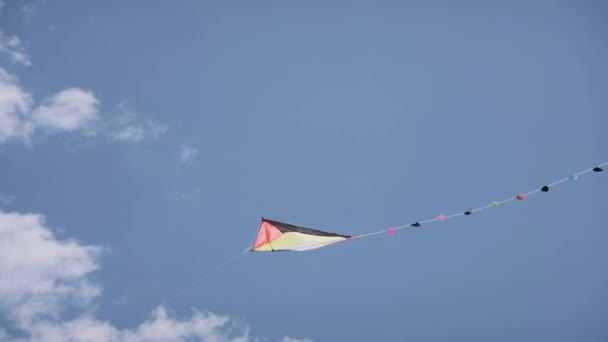 16-farbenfroher Drachen fliegt in Zeitlupe in den blauen Himmel — Stockvideo